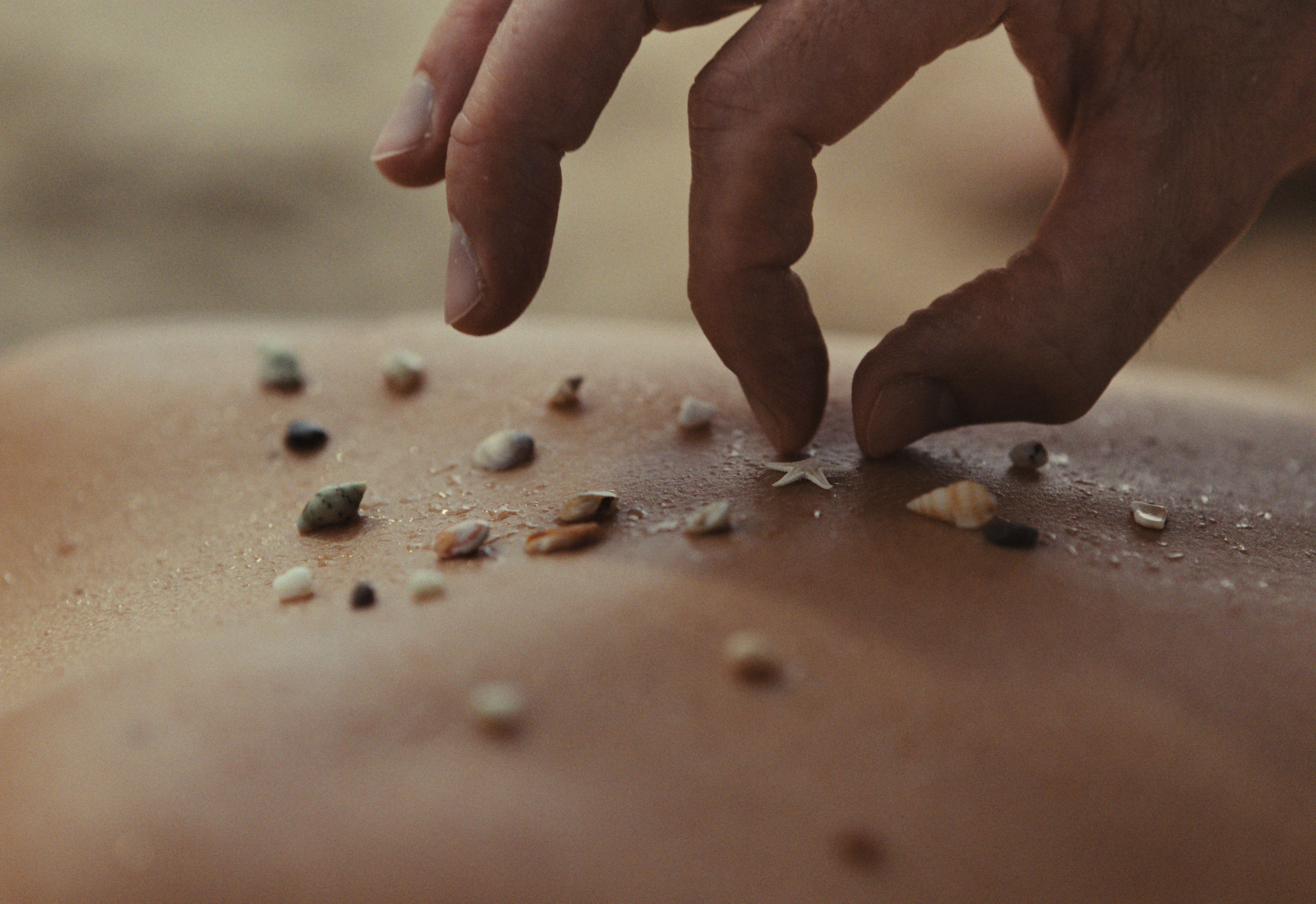 Hand placing a small star on skin among seashells.